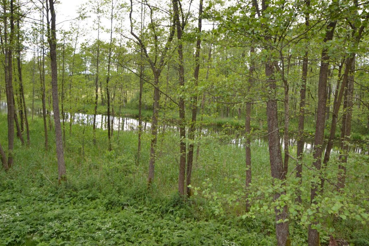 Osrodek Wypoczynkowo-Turystyczny Perla Krutyni Hotell Nowy Most Eksteriør bilde